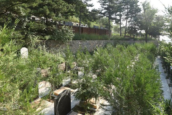 北京墓地花葬和树葬的安葬流程是怎样的？它们各自的优势是什么？