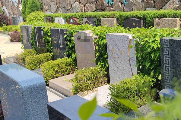 北京天寿陵园让生命在绿意中永恒延续