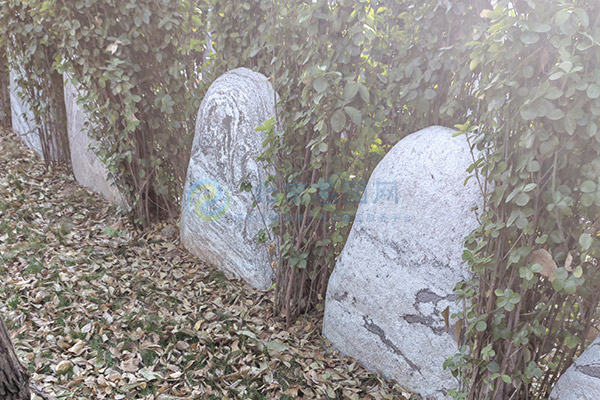 北京墓地节地生态葬有哪些类型？如何选择？