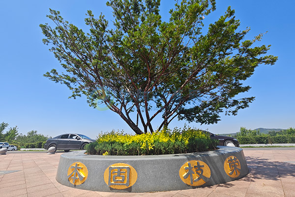 2026沈阳墓园选购干货指南：沈北合规陵园对比，工薪家庭高性价比墓园推荐！
