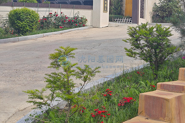 盘龙福地公墓 盘龙福地公墓