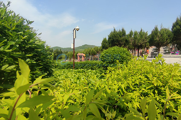 大河贝生态息园 大河贝生态息园