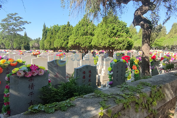 2026年沈阳墓园综合排名:回龙岗公墓十大陵园墓地推荐选择指南 2026年沈阳墓园综合排名:回龙岗公墓十大陵园墓地推荐选择指南