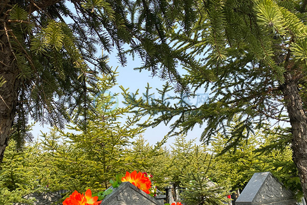 沈阳龙泉古园墓园 沈阳龙泉古园墓园