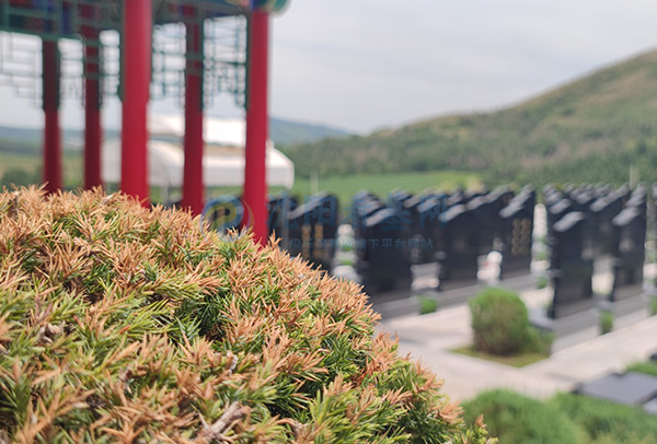 龙福山纪念园 龙福山纪念园