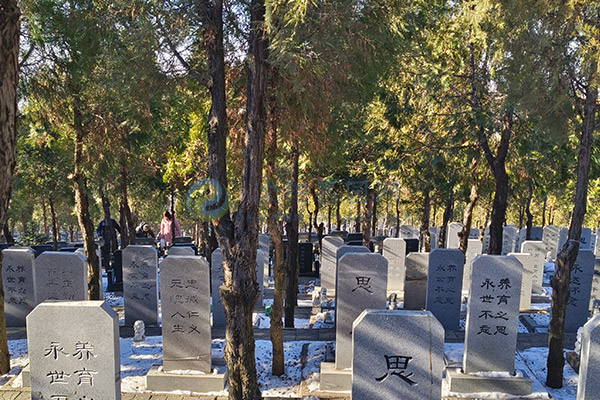塔山公墓 塔山公墓