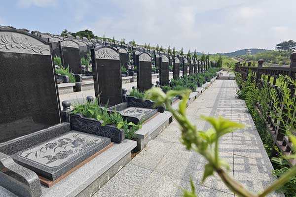 沈阳圣龙泉
